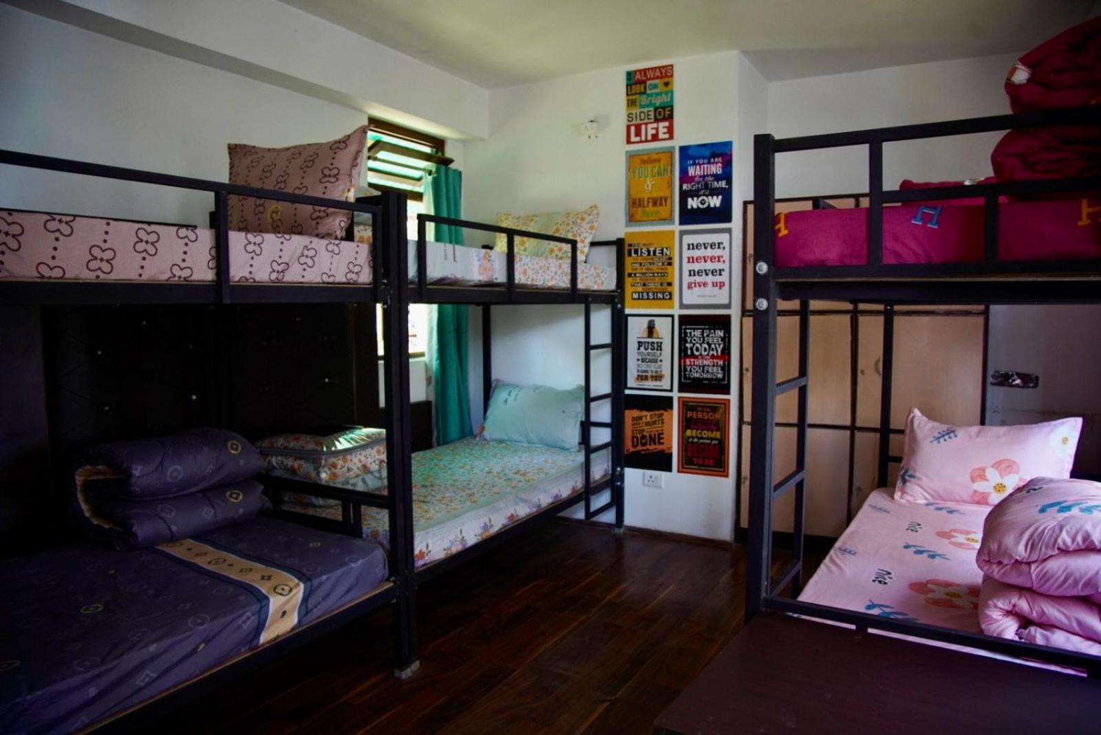 بيت شباب Backpackers Den جانجتوك المظهر الخارجي الصورة